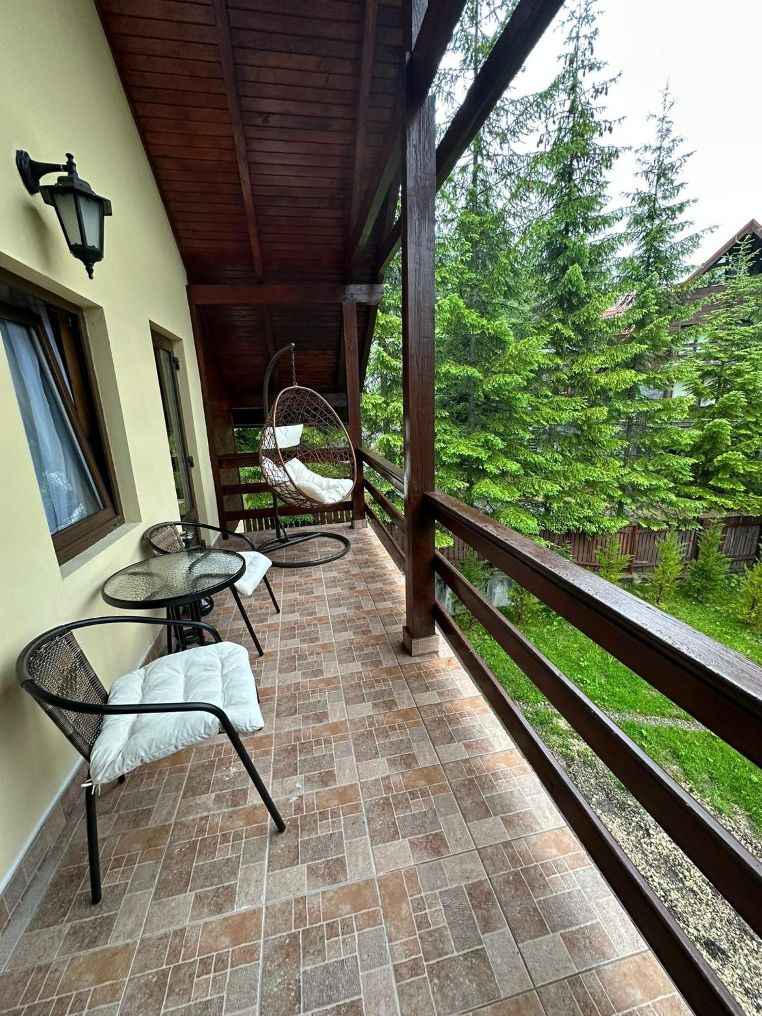 Ollie'S Mountain Chalet Buşteni Esterno foto